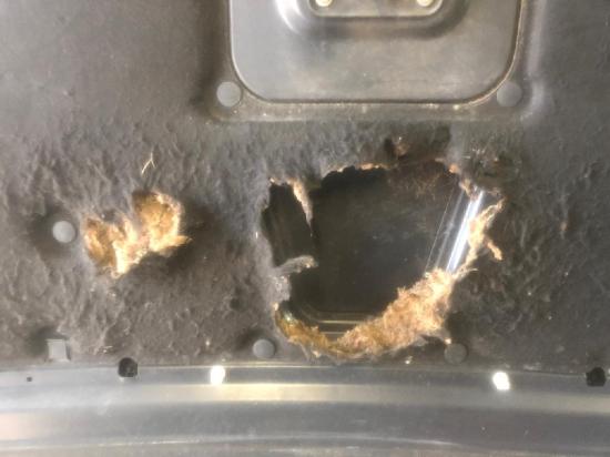 Motorhaube FORD Fusion (JU2) Bild Motorhaube FORD Fusion (JU2)