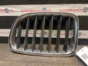Kühlergrill links BMW X3 (F25) 10627110