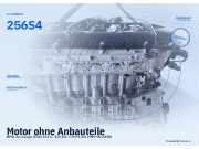 Motor ohne Anbauteile BMW 3er Coupe (E46) M52 B25 (256S4) 256S4