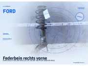 Federbein rechts vorne FORD Focus II (DA, DP, HCP) FORD