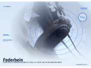 Federbein FORD Focus II Stufenheck (DB3)