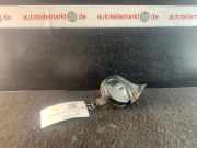 Hupe VW Sharan (7M) 0092018