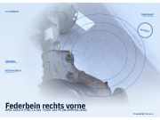 Federbein rechts vorne OPEL Zafira A