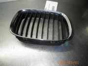 Kühlergrill BMW 5er (E39) 8159311