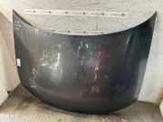 Motorhaube AUDI A3 (8P)