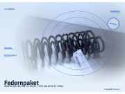 Federnpaket AUDI 80 (81, 85, B2)