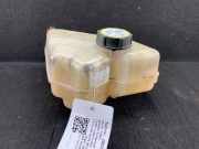 Behälter Kühlwasser FORD Fiesta VI (CB1, CCN) FORD