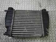 Ladeluftkühler RENAULT Clio III (BR0/1, CR0/1) 8200471885