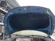 Motorhaube VW Tiguan I (5N) 5N0823031D