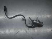 Einspritzventil AUDI A6 Avant (4G, C7) 4G0131113C