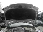 Motorhaube AUDI A4 Avant (8D, B5) 8D0823029C