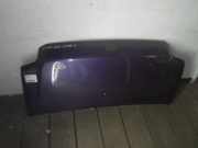 Motorhaube SUZUKI Wagon R+ (EM)