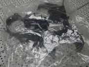 Zahnriemenschutz VW Amarok (2H) 03L109145B