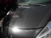 Motorhaube RENAULT Clio III (BR0/1, CR0/1) NOIR NACRE 676