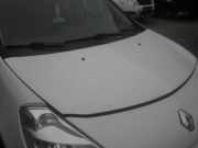Motorhaube RENAULT Clio III (BR0/1, CR0/1) 7751479109