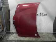 Motorhaube RENAULT Laguna II (G) FARBCODE TEB76