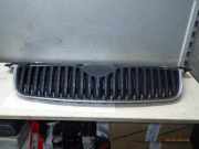 Kühlergrill SKODA Fabia II (542) 5J0853668A