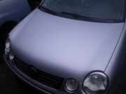 Motorhaube VW Polo IV (9N, 9A) 6QE823031B