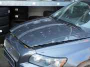 Motorhaube VOLVO V50 (545) 31371415