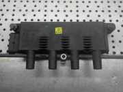 Zündmodul/Zündspule Fiat 500, Fiat Grande Punto 199, Ford KA 1.2