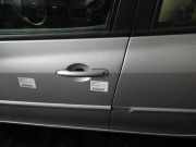 Türgriff links vorne RENAULT Clio III (BR0/1, CR0/1)