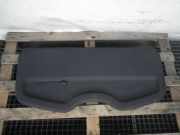 Hutablage RENAULT Clio III (BR0/1, CR0/1) 8200399776