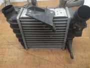 Ladeluftkühler VW Fox Schrägheck (5Z) 6Q0145804A 0281002399