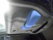 Türverkleidung links hinten OPEL Agila (H00) DIE TÜRVERKLEIDUNG WEIST LEI DIE TÜRVERKLEIDUNG WEIST LEICHTE BESCHÄDIGUNGEN AUF