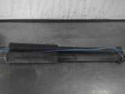 Stoßdämpfer hinten SEAT Mii (AA) 1S0513025D