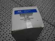 Kraftstofffilter HYUNDAI Trajet (FO) 31922-26900 1457434198