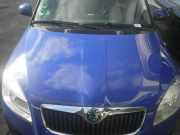 Motorhaube SKODA Fabia II (542) 5J0823031A
