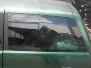 Seitenscheibe links hinten LANCIA Y (840)