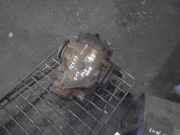 Hinterachsgetriebe BMW 3er Touring (E46) 33107556669