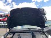 Motorhaube FORD Focus II Turnier (DA, DS, FFS) P8M51-A16610-AE 1521601