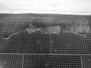 Lenkgetriebe AUDI A6 Avant (4G, C7) 4G1423055BG