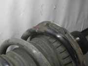 Federbein links hinten LAND ROVER Freelander 1 (L314)