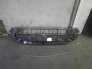 Kühlergrill AUDI Q8 (4M) 4M8807233A