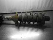 Federbein rechts hinten LAND ROVER Freelander 1 (L314)