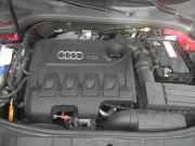 AUDI A3 (8P) 2.0 TDI 103 kW 140 PS (CFFB)