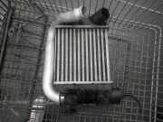 Ladeluftkühler AUDI A6 Avant (4F, C6) 4F0145805AF