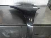 Kotflügel links vorne MERCEDES-BENZ A-Klasse (W169) A1698810101
