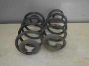Federnsatz Hinterachse RENAULT Clio III (BR0/1, CR0/1)