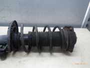 Federbein rechts vorne SEAT Ibiza III (6L)