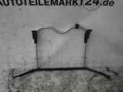 Fahrradträger Heck MERCEDES-BENZ A-Klasse (W169) E166851104