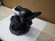 Ersatzradhalter RENAULT Clio III (BR0/1, CR0/1) 8200601401 8200269378