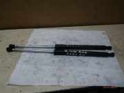 Heckklappendämpfer RENAULT Clio III (BR0/1, CR0/1) 8200299546