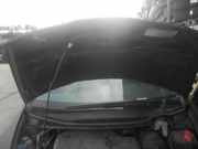 Motorhaube HONDA Civic VIII (FN, FK) 60100SMGE00ZZ