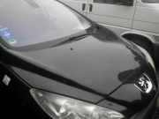 Motorhaube PEUGEOT 308 I 7901P6