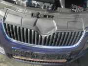 Kühlergrill SKODA Fabia II (542) 5J0853668A