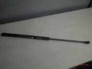 Gasfeder für Motorhaube VW Golf IV (1J) 1J0823359